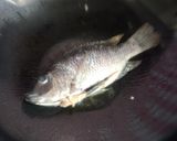 紅燒吳郭魚(附 蔥燒版)的食譜步驟2照片