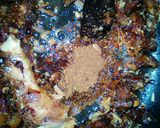A picture of step 6 of Simple pilau recipe.