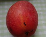 A picture of step 1 of Mango Shaved Ice.