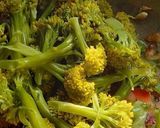 A picture of step 5 of Broccoli Pasta salad.
