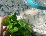 Foto del paso 3 de la receta: Infusión de menta piperita