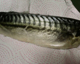 Foto del paso 1 de la receta: Caballa macerada a la plancha