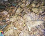 صورة لخطوة 1 من وصفة كبده مع قلوب