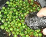 Foto langkah ke 2 dari resep Karedok Leunca+Kemangi.