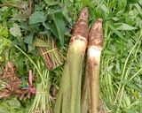 Foto langkah ke 1 dari resep Sayur keladi.