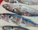 Foto langkah ke 2 dari resep Ikan cuek tepung.