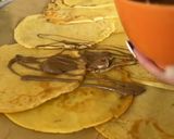 Palacsintatekercs ❤😋 recept fázis 1 fotója