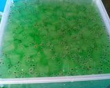 Foto langkah ke 3 dari resep Minuman lidah buaya.