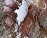 A picture of step 2 of Cinnamon Scones.