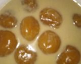 Foto langkah ke 2 dari resep Bubur biji salak/cendil.
