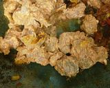 A picture of step 4 of Soya Pulao.