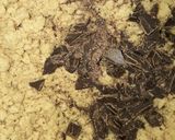 Foto del paso 3 de la receta: Galletitas de pasta de maní 🍪🥜