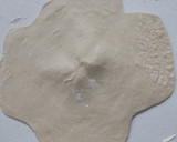 Foto del paso 4 de la receta: Formas de masa Hojaldre