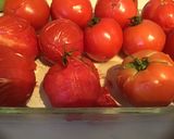 A picture of step 2 of California Farm Annual Tomato Harvest.