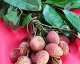 লিচু আর সাগুর পায়েশ(Lychee and sago /tapioca pudding) রেসিপির ধাপ 1 ছবি