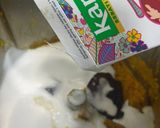 Gambar langkah 5 resipi Lokan Masak Lemak Berempah.