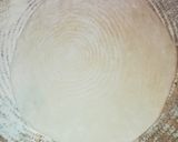 صورة لخطوة 3 من وصفة المخلع
