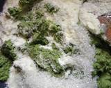 Betel Leaf Modak (Paan Modak) recipe step 2 photo