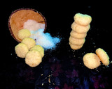 தேங்காய் குக்கீஸ் (Thenkaai cookies recipe in tamil) ரெசிபி ஸ்டேப் 8 புகைப்படம்