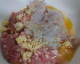 Foto langkah ke 2 dari resep Baso Goreng Tepung Sasa.
