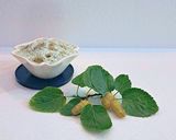 عکس مرحله 2 از دستور دسر ماست و توت سفید (ماست میوه ای)
