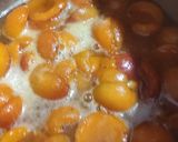 صورة لخطوة 4 من وصفة مربى المشمش😋😋