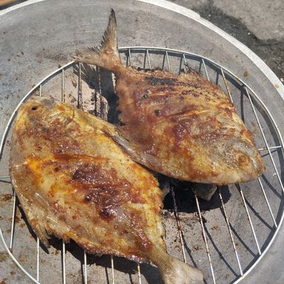 Langkah 4