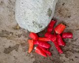 Foto langkah ke 3 dari resep Mandai (kulit cempedak).