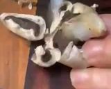 Une image de l'étape 3 de Velouté 🍄🪵châtaignes 🌰champignons de Paris🧀fromage de brebis🍁.