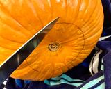 A picture of step 3 of How to Carve a Pumpkin for Halloween!.