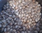 Foto del paso 1 de la receta: Caracoles receta de mi madre