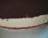 Foto del paso 7 de la receta: Amor en chasecake 💕