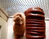 Foto langkah ke 11 dari resep Woll Roll Chocolate Bread.