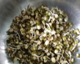 ફણગાવેલા મગ અને વેજીટેબલ સલાડ (Fangavela Moong Vegetable Salad Recipe In Gujarati) રેસીપી સ્ટેપ1ફોટો