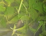 Foto langkah ke 3 dari resep Sayur bayam bening.