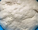 A picture of step 9 of Risen dough.