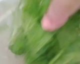 Foto langkah ke 1 dari resep Sayur bening selada air.