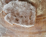 Foto del paso 4 de la receta: Galletas de canela tipo Speculoos (1er intento)
