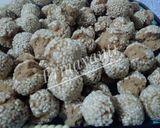 Foto langkah ke 7 dari resep 6. Onde-Onde Ketawa.