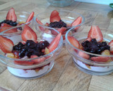 Foto del paso 8 de la receta: Mix frutal con yogurt natural y salsa de arándanos... aprovechando las sobritas