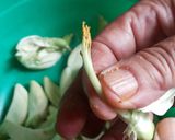 Foto langkah ke 2 dari resep Tumis Kembang Turi.