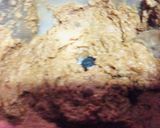 A picture of step 3 of Biscuit and banana cake.