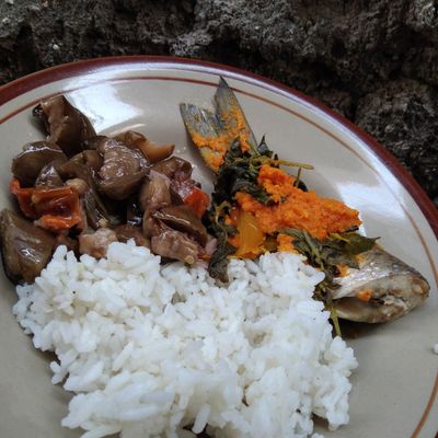 Langkah 7
