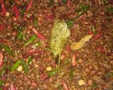 Foto langkah ke 12 dari resep 50 mika nasi kuning sederhana (+prkiraan harga bahan).