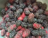 รูปขั้นตอนการทำที่ 1 ของ แยมมัลเบอร์รี่ (mulberry jam)