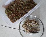 عکس مرحله 2 از دستور جوانه یونجه