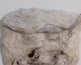 Foto langkah ke 9 dari resep Spekuk Craisin Sourdough Bread.