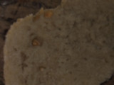 Pan de masa madre!!