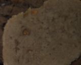 Foto del paso 2 de la receta: Pan de masa madre!!