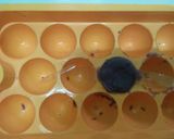 Foto langkah ke 8 dari resep Nastar (bentuk) buah buahan.